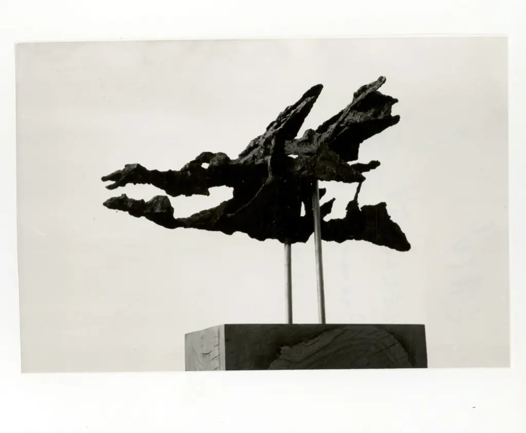 Chi&ograve;, , Uccelli 51