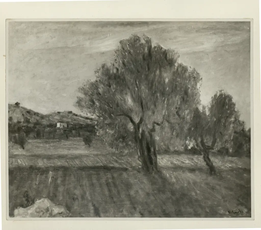 Anonimo, Anonimo , fronte