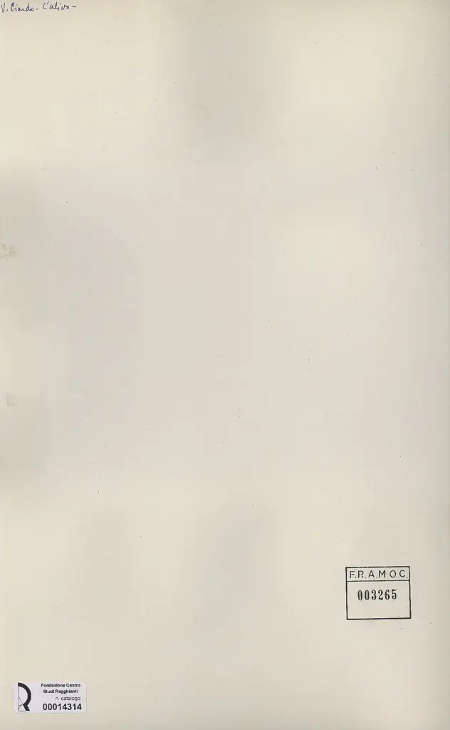 Anonimo, Anonimo , retro