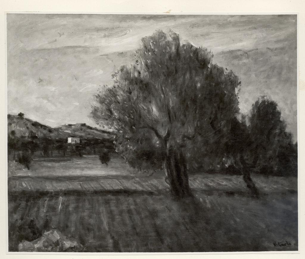Anonimo , fronte