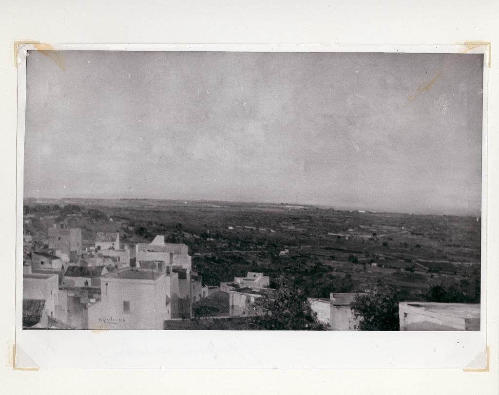 Anonimo , fronte
