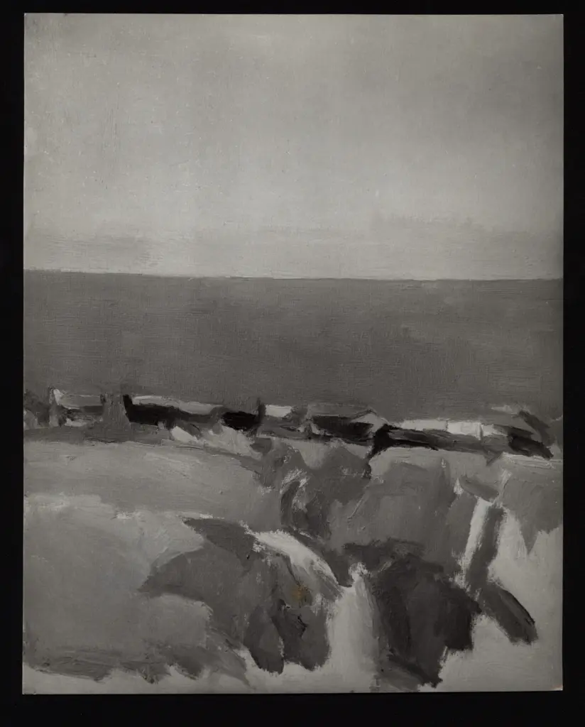 Savio, Oscar , fronte