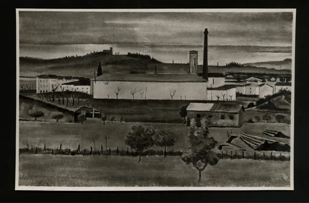 Foto Barsotti , fronte