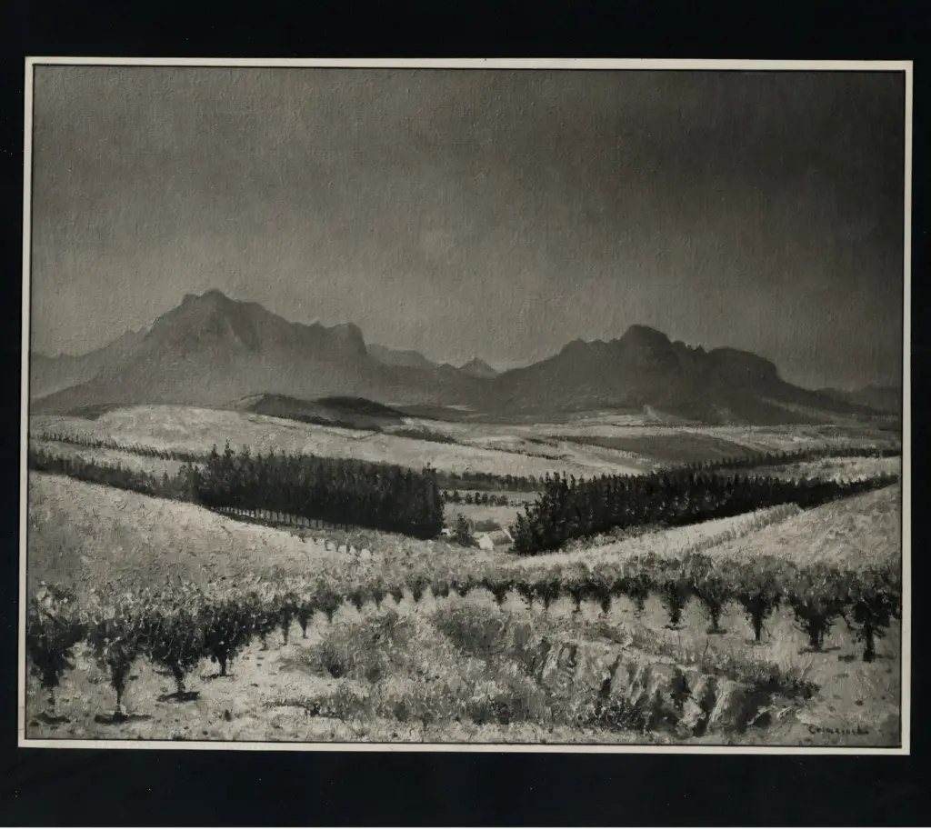 Foto Barsotti , Colacicchi, Giovanni - sec. XX -