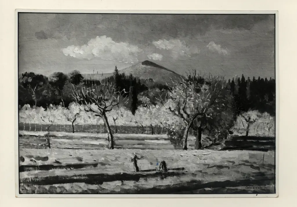 Foto Barsotti , fronte