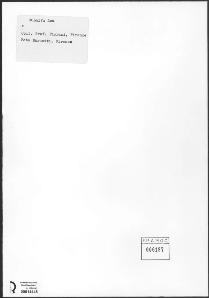 Foto Barsotti , retro