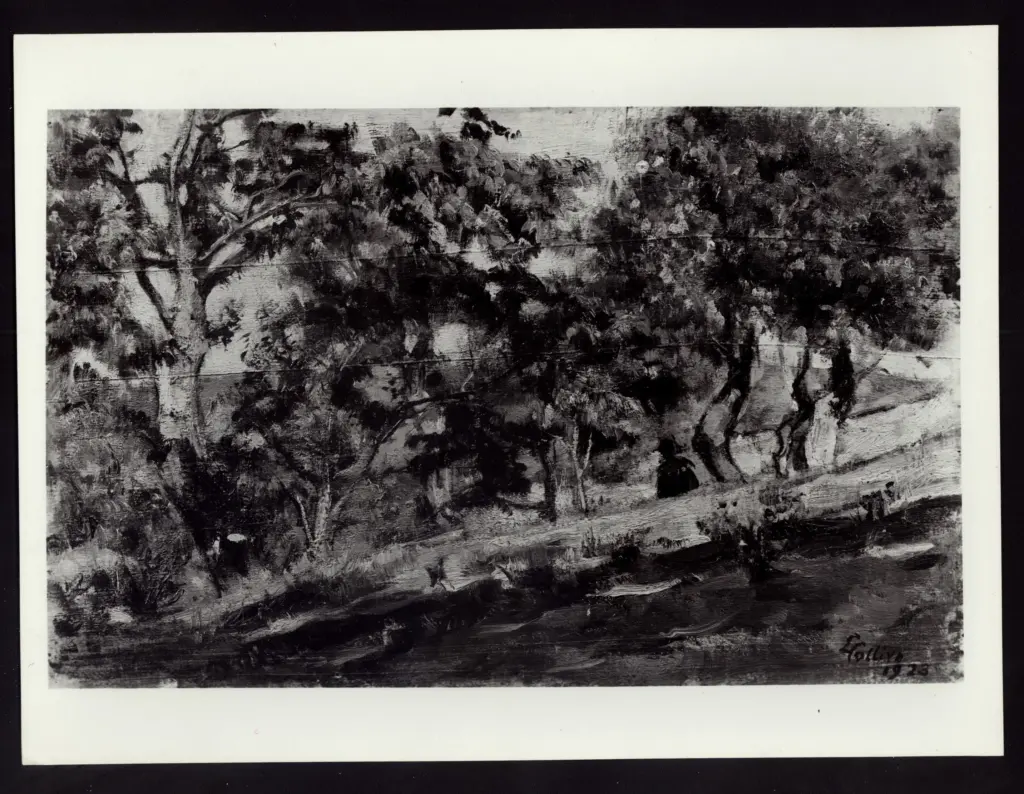 Colliva, Lea - sec. XX -