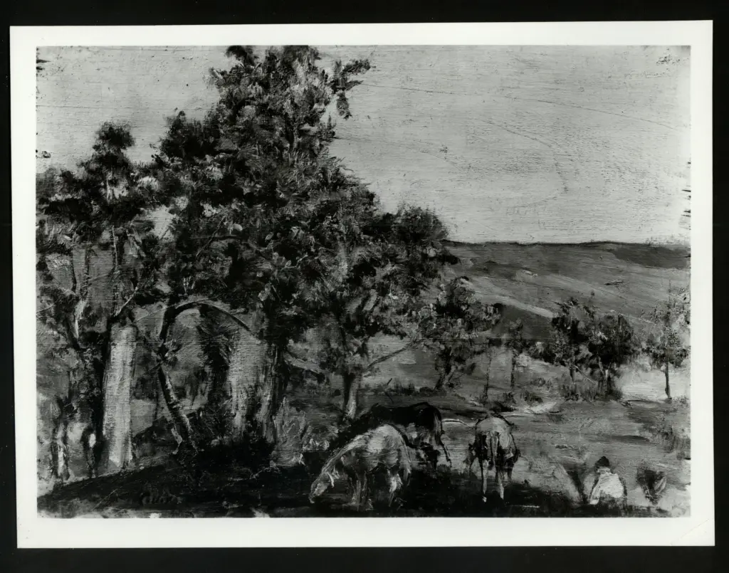 Colliva, Lea , Pascolo nel castagneto