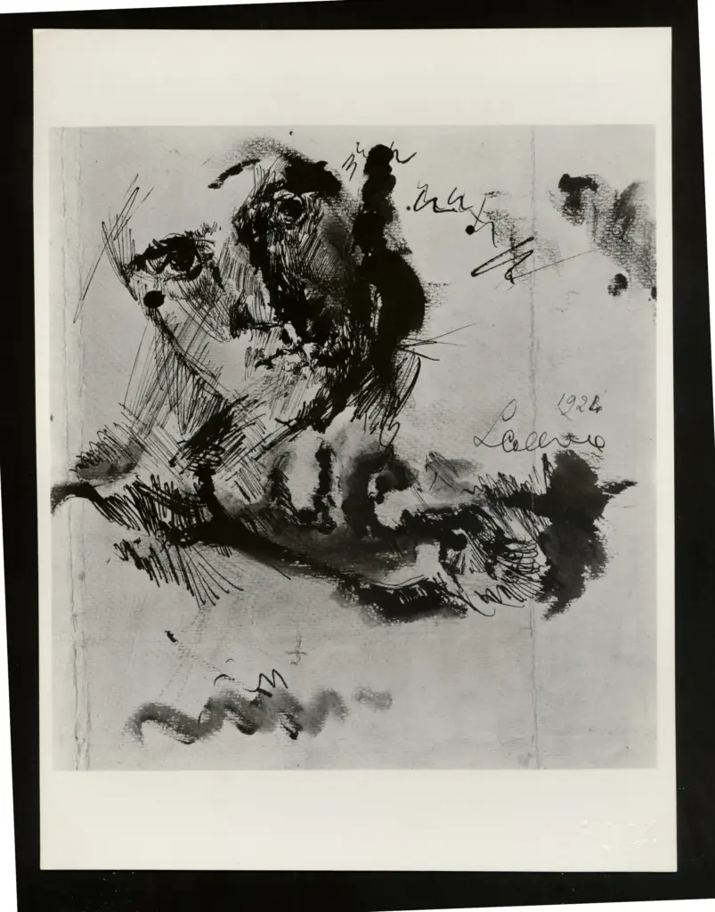 Fototecnica Bolognese , fronte