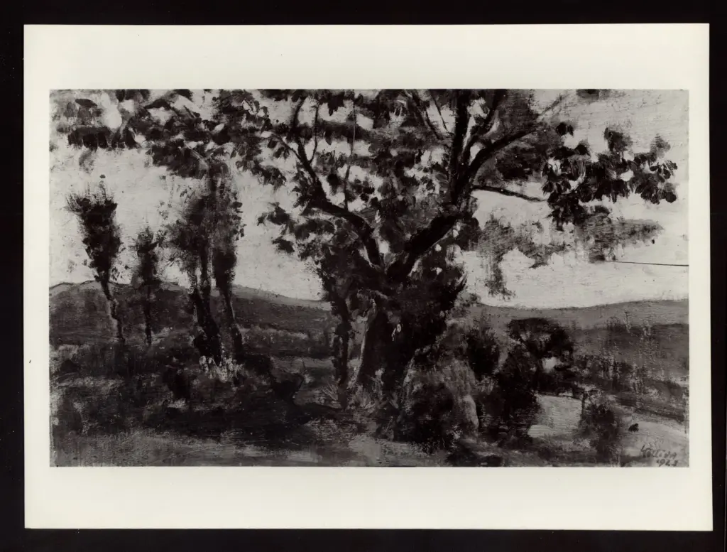 Anonimo , Colliva, Lea - sec. XX - Castagno e quercioli al limite del castagneto , fronte