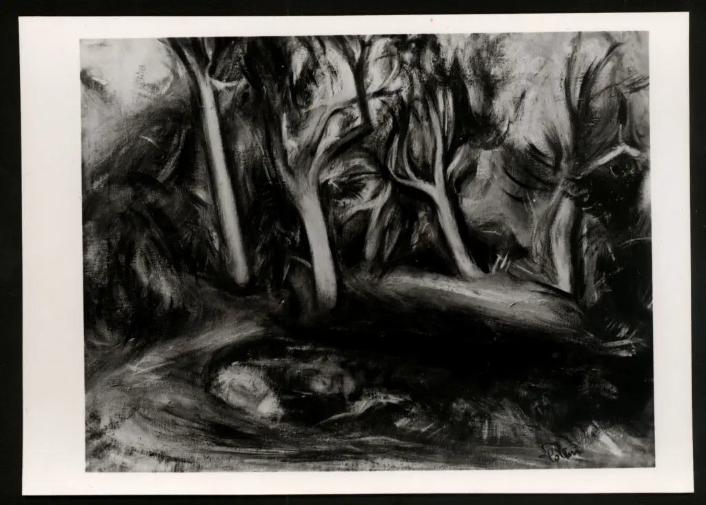 Anonimo , Colliva, Lea - sec. XX - Alberi , fronte