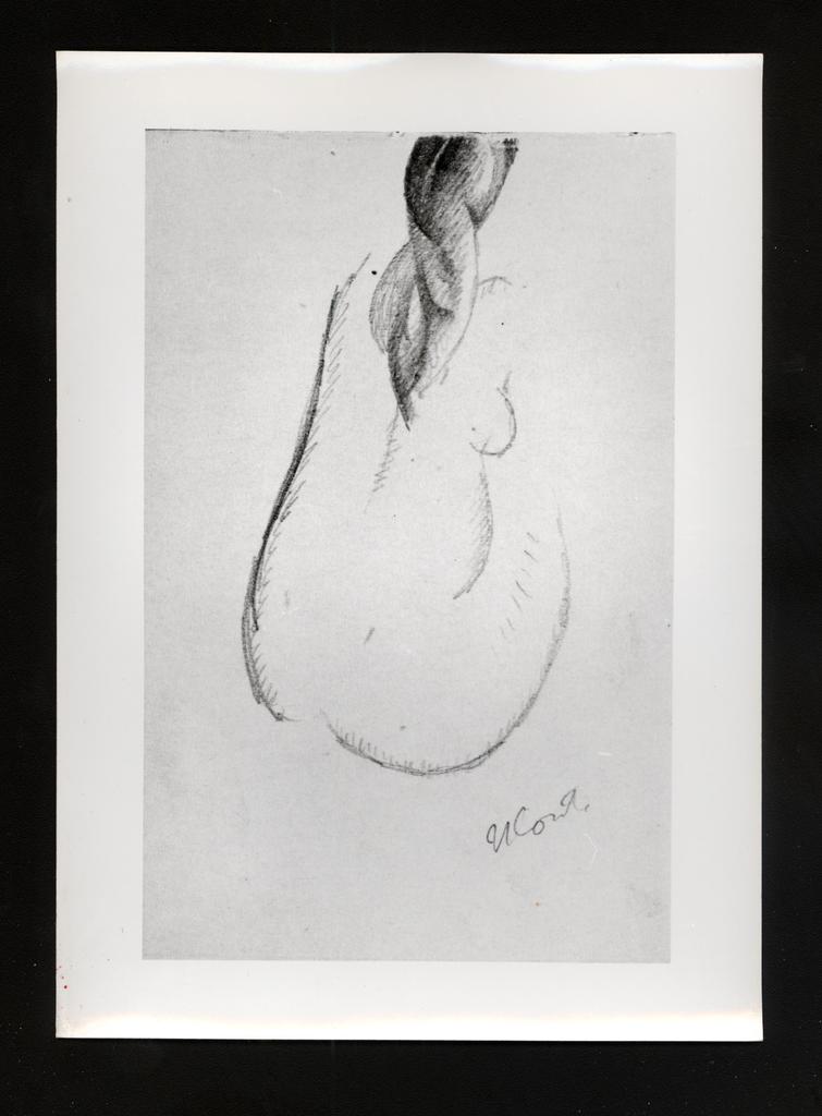 fronte