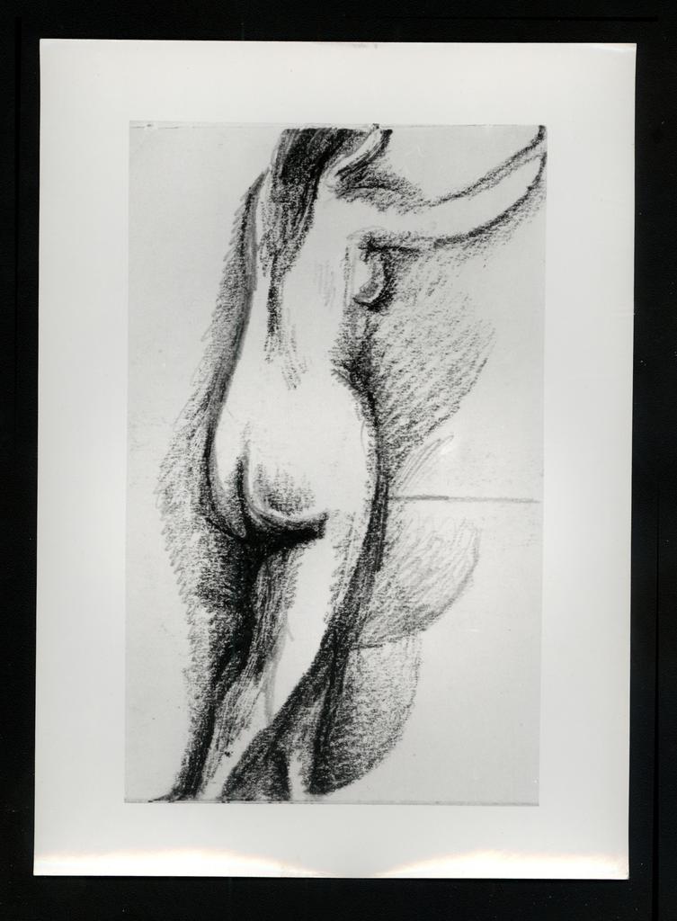 fronte