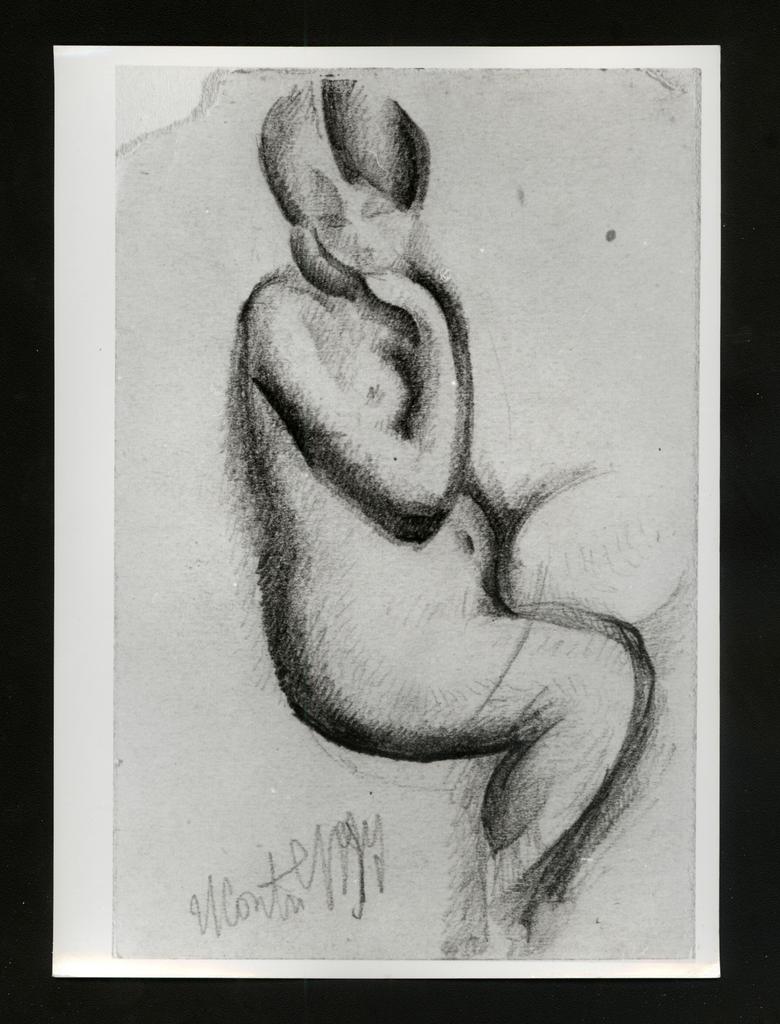 fronte