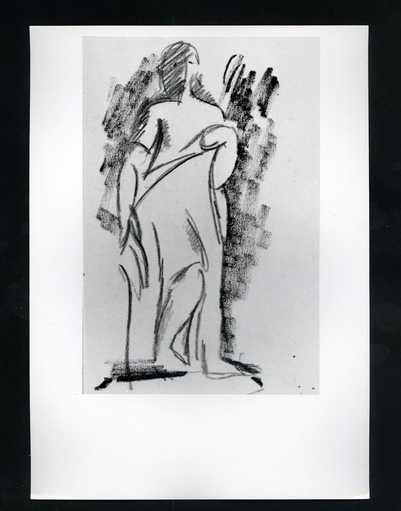 fronte