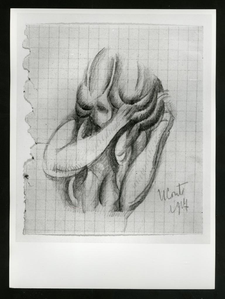 fronte
