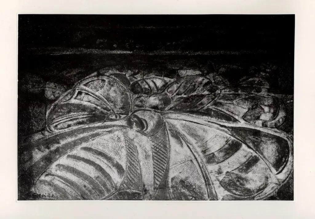 Corsi, Gino , Disegno