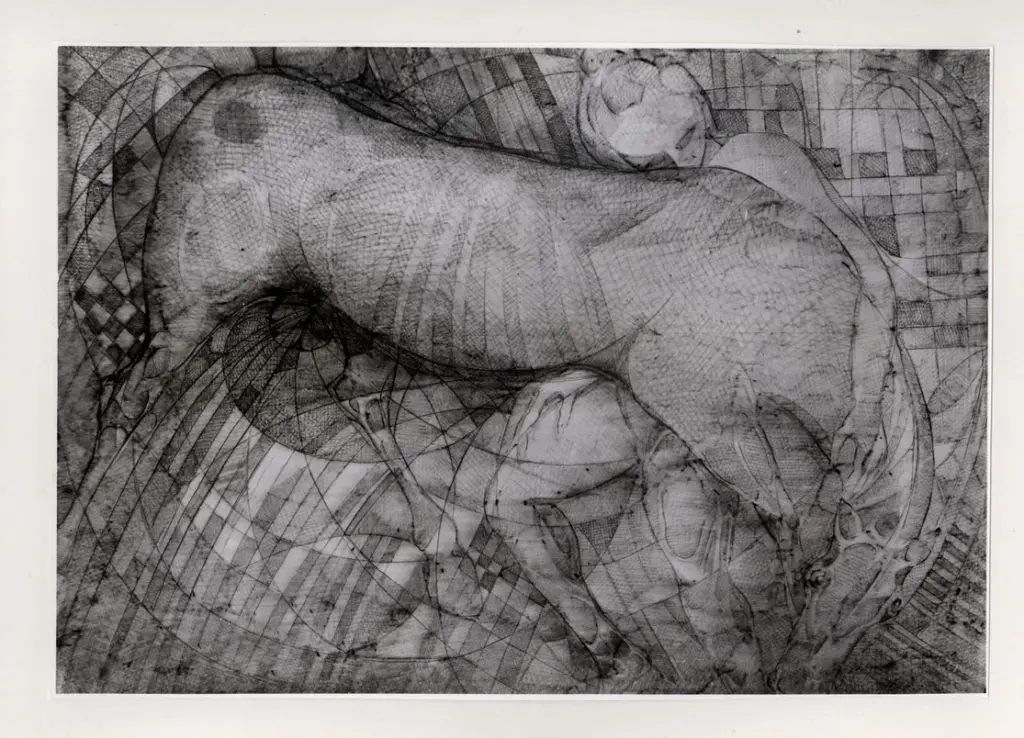 Anonimo , Corsi, Gino , fronte