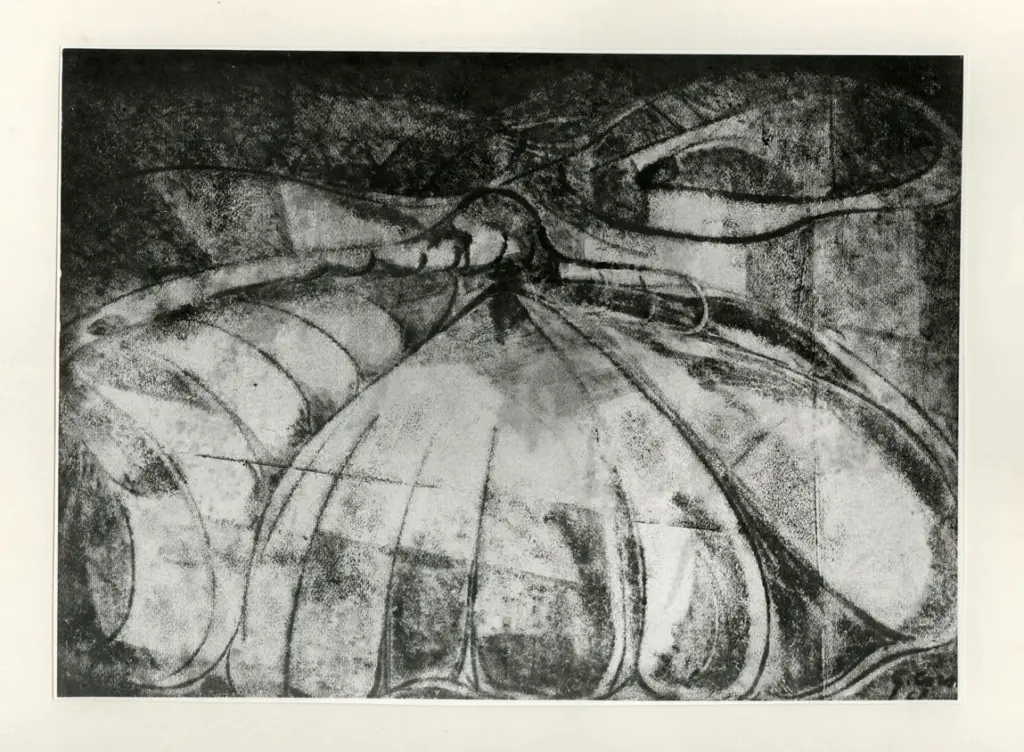 Corsi, Gino , Disegno