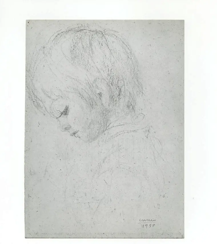 Cuneo, Renata , disegno -