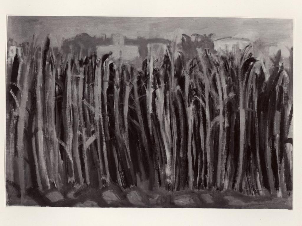 Giacomelli , fronte