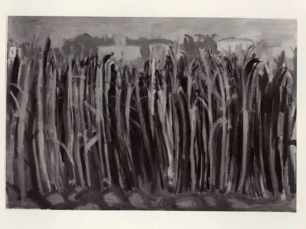 Giacomelli , Dalla Zorza, Carlo - sec. XX - Il canneto - Torcello , fronte