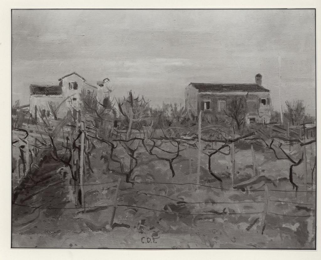 Giacomelli , fronte