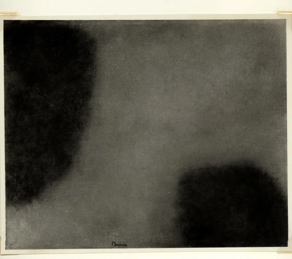 Davico, Mario , Superficie