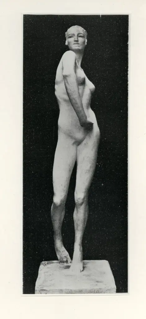 Anonimo, Anonimo , fronte