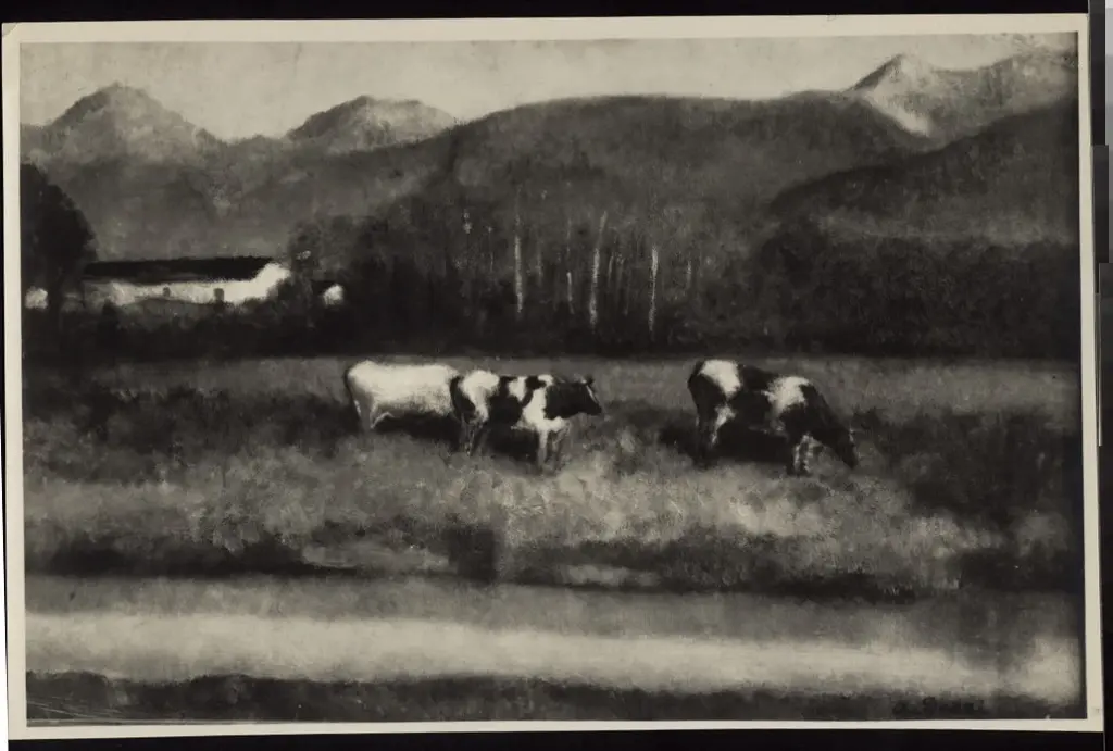 Anonimo, Anonimo , fronte