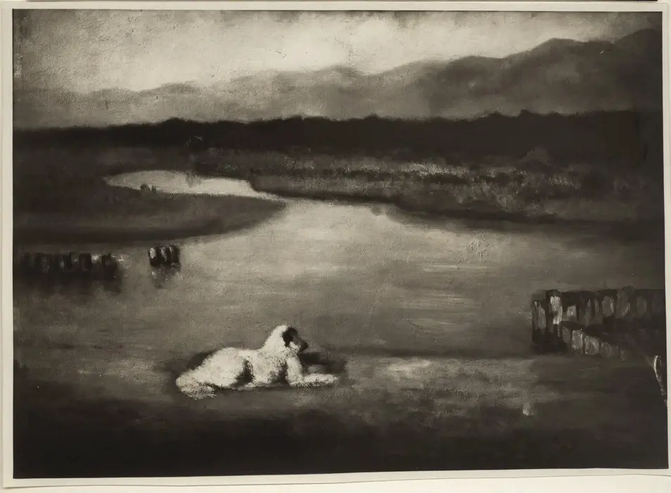 Dazzi, Arturo , Pescecane