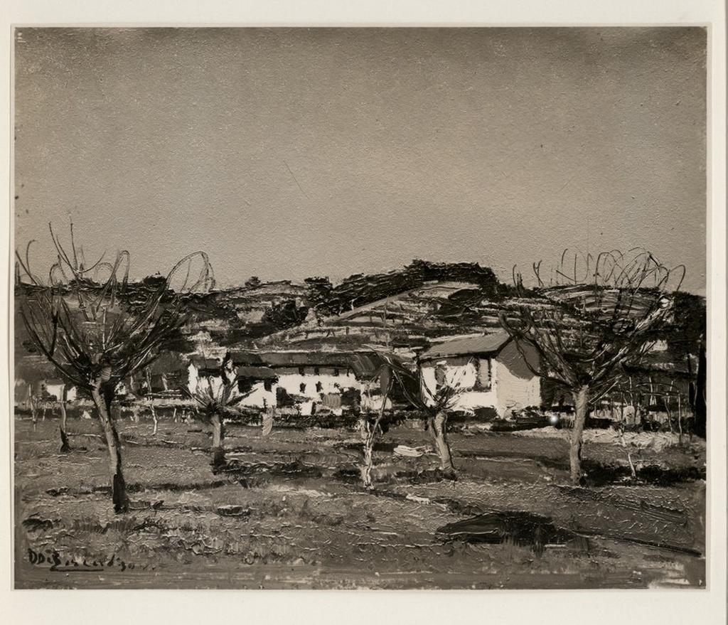 Fiorentini , fronte