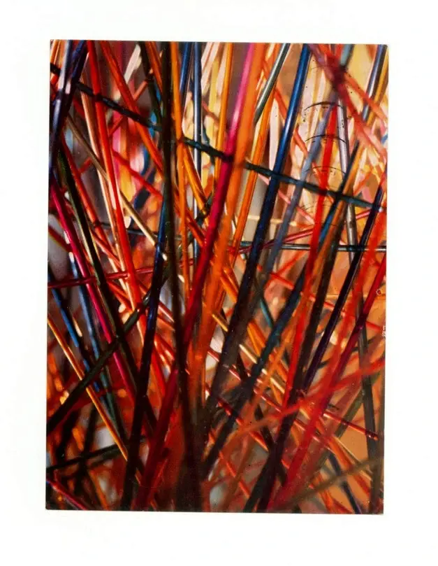 Degani, Eugenio , Il canneto