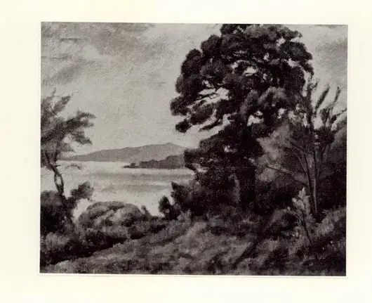 Anonimo, Anonimo , fronte