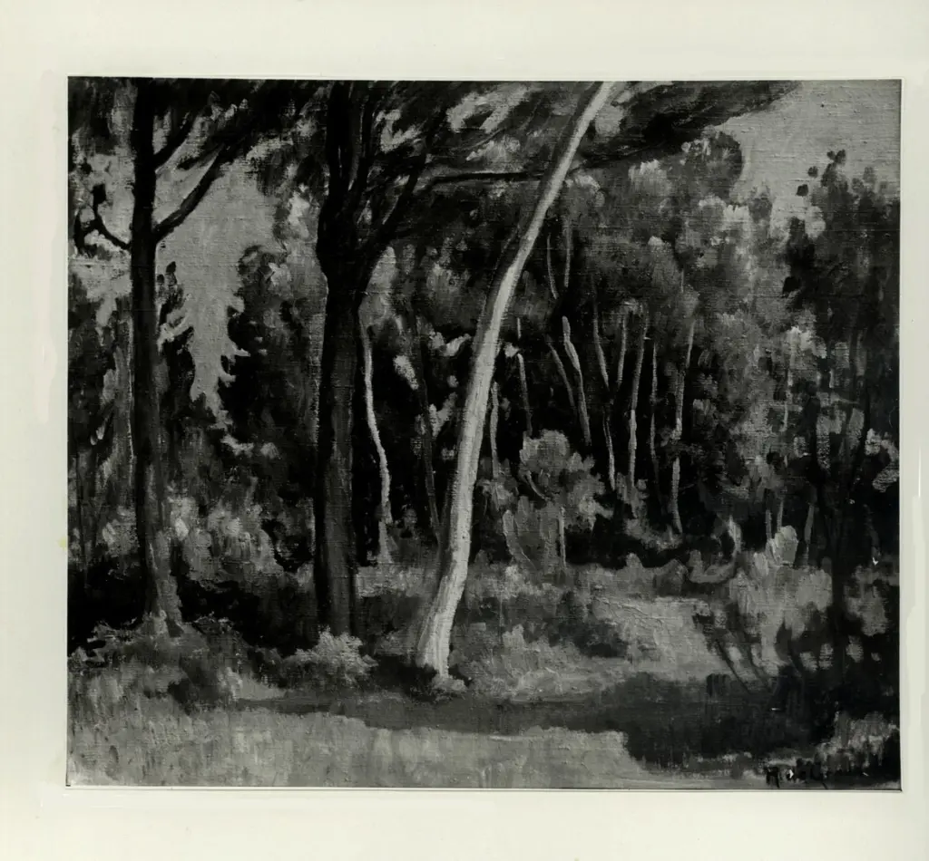 Fotografia Ferruzzi , De Grada, Raffaele - sec. XX - Bosco presso Quarceto , fronte