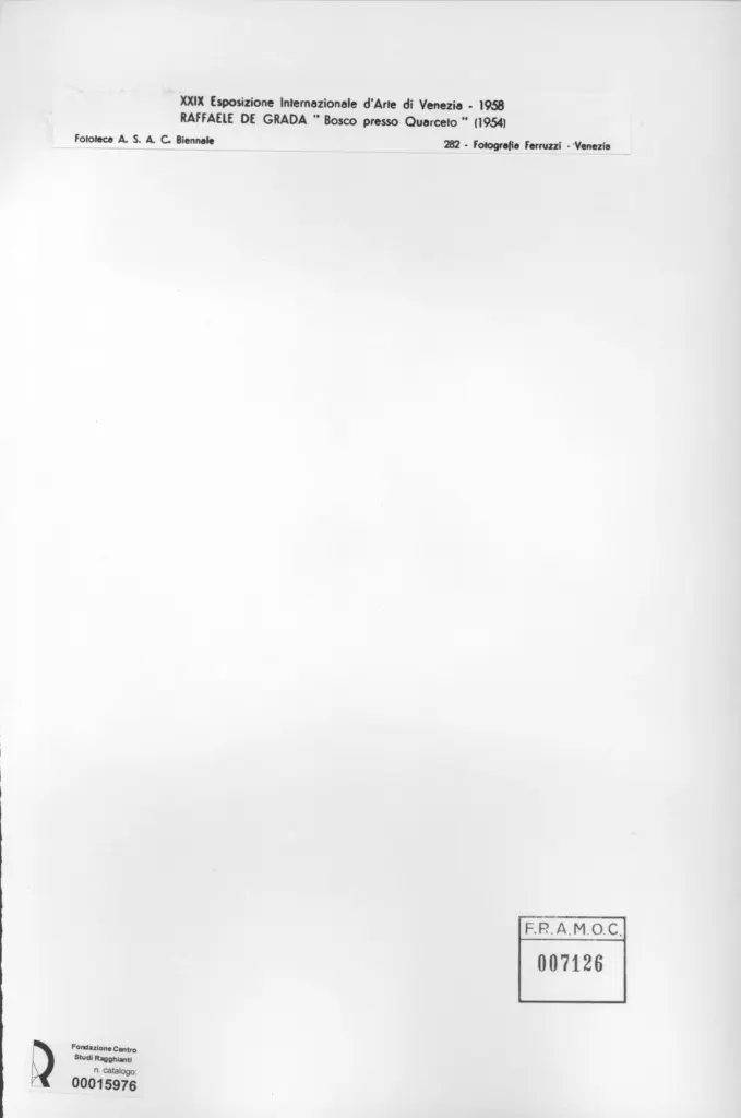 Fotografia Ferruzzi , De Grada, Raffaele - sec. XX - Bosco presso Quarceto , retro