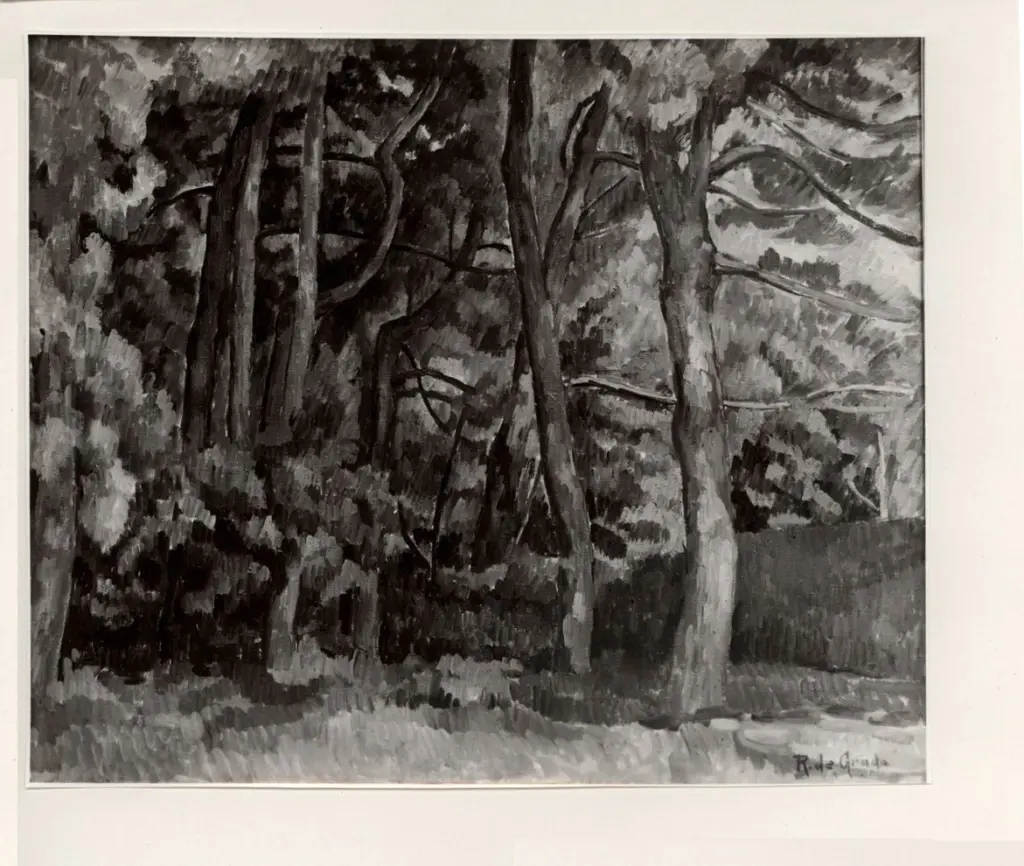 Fotografia Ferruzzi , fronte