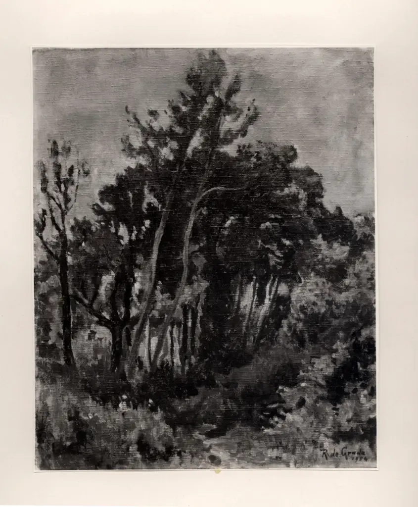 Fotografia Ferruzzi , fronte