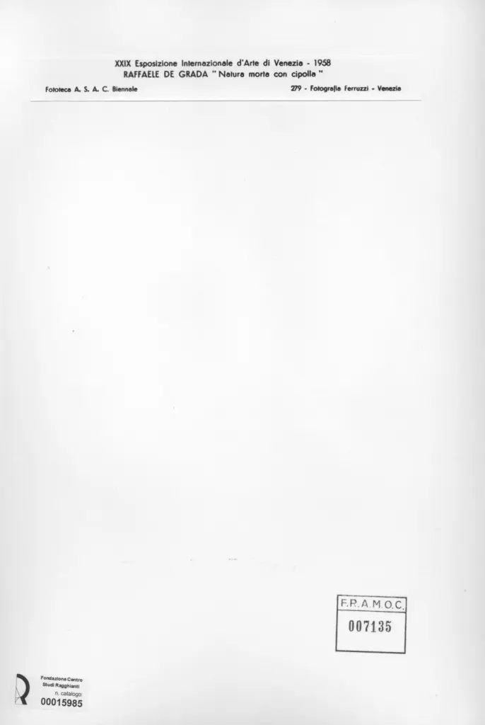 Fotografia Ferruzzi , De Grada, Raffaele - sec. XX - Natura morta con cipolle , retro