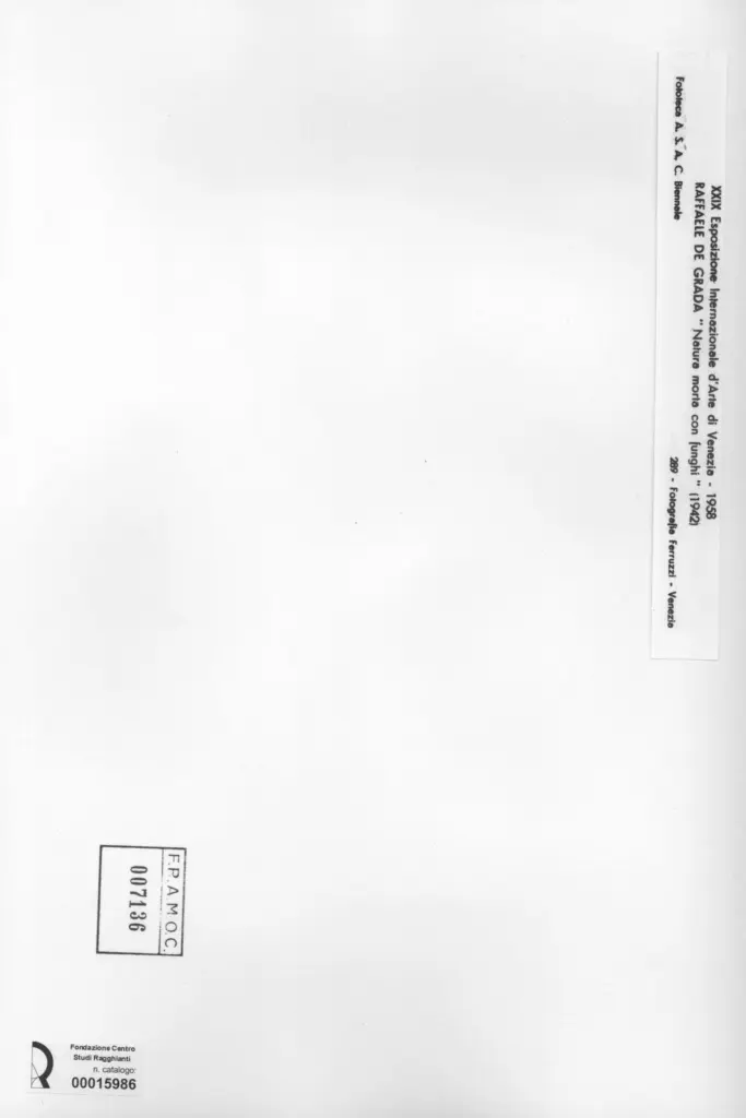 Fotografia Ferruzzi , De Grada, Raffaele - sec. XX - Natura morta con funghi , retro