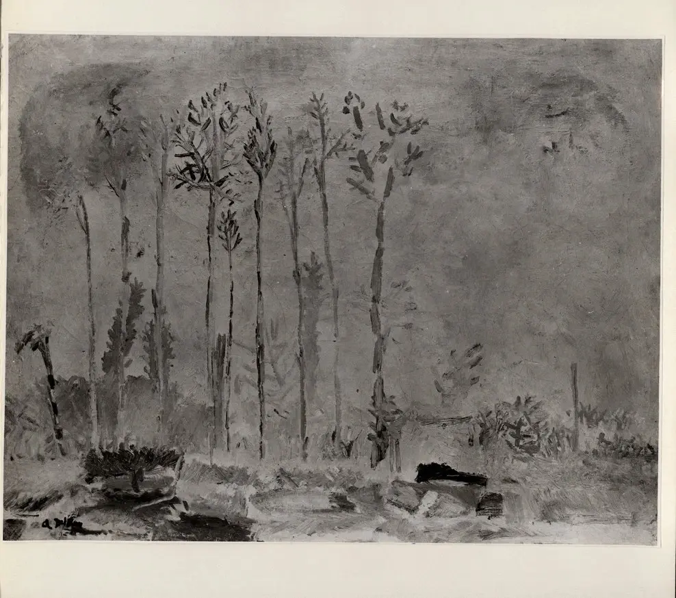 Del Bon, Angelo , Alberi a San Siro