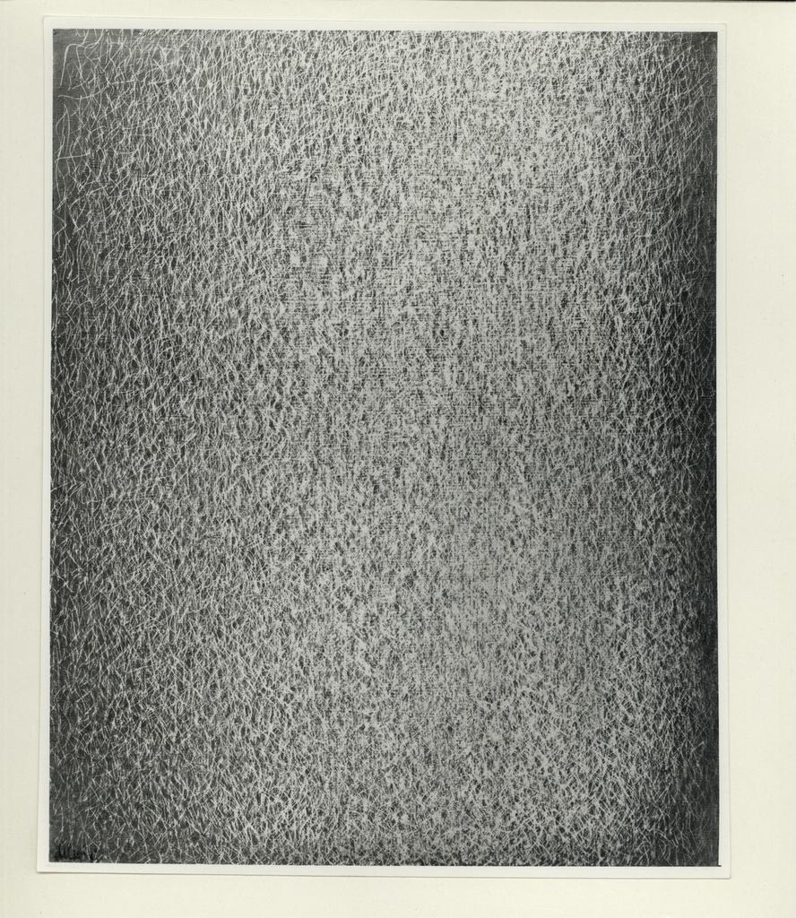 Foto Barsotti , fronte