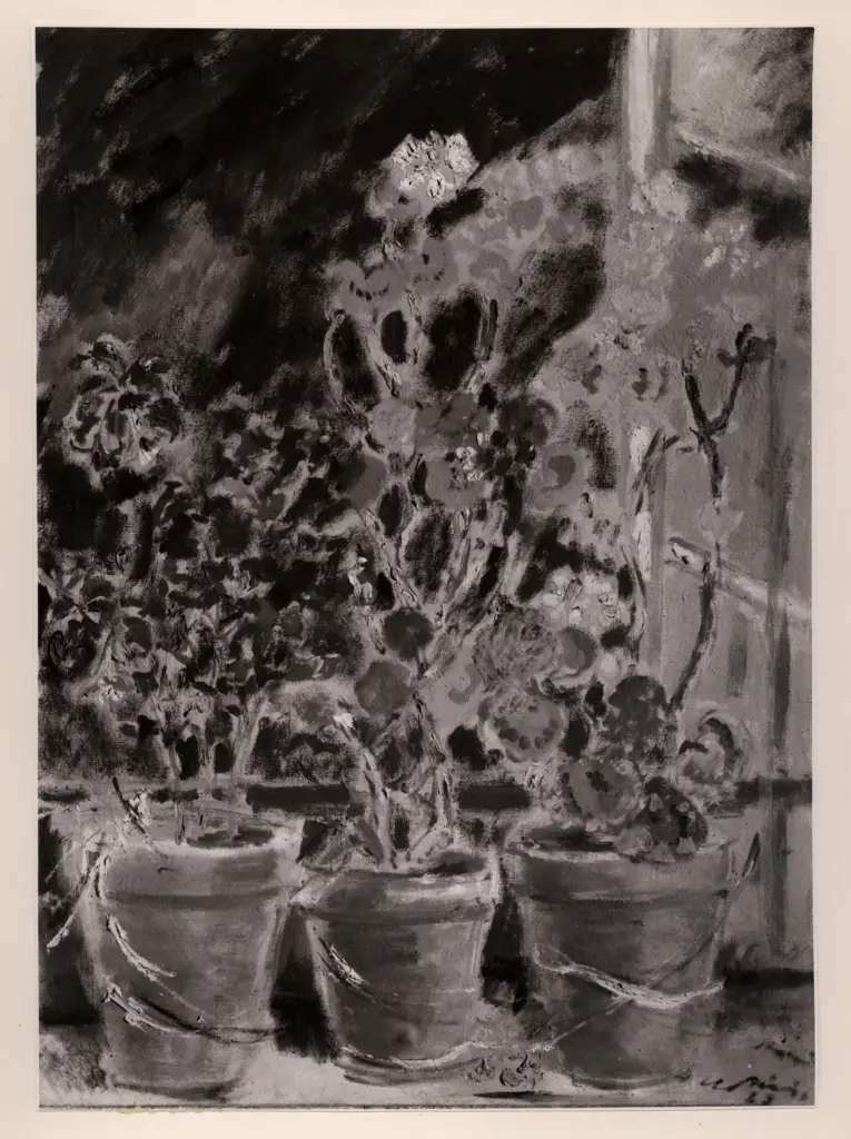 Foto Barsotti , De Pisis, Filippo - sec. XX -