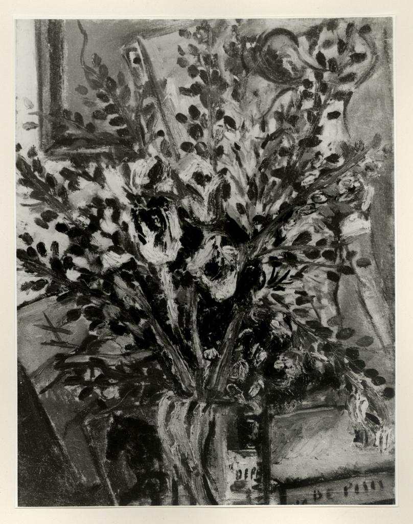 fronte