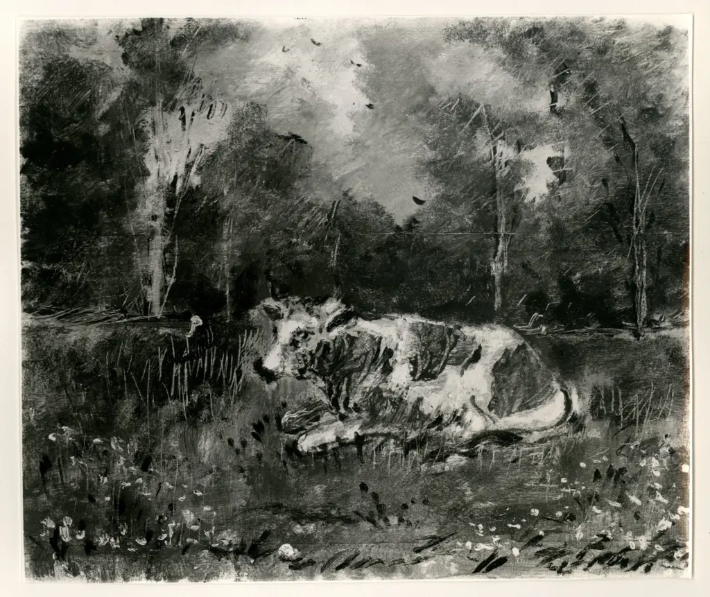 Cameraphoto , fronte