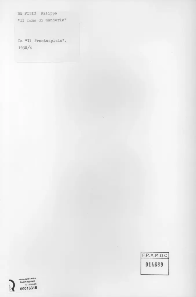 Anonimo , De Pisis, Filippo , retro