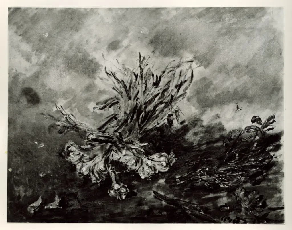 A.F.I. Agenzia Fotografica Industriale , fronte