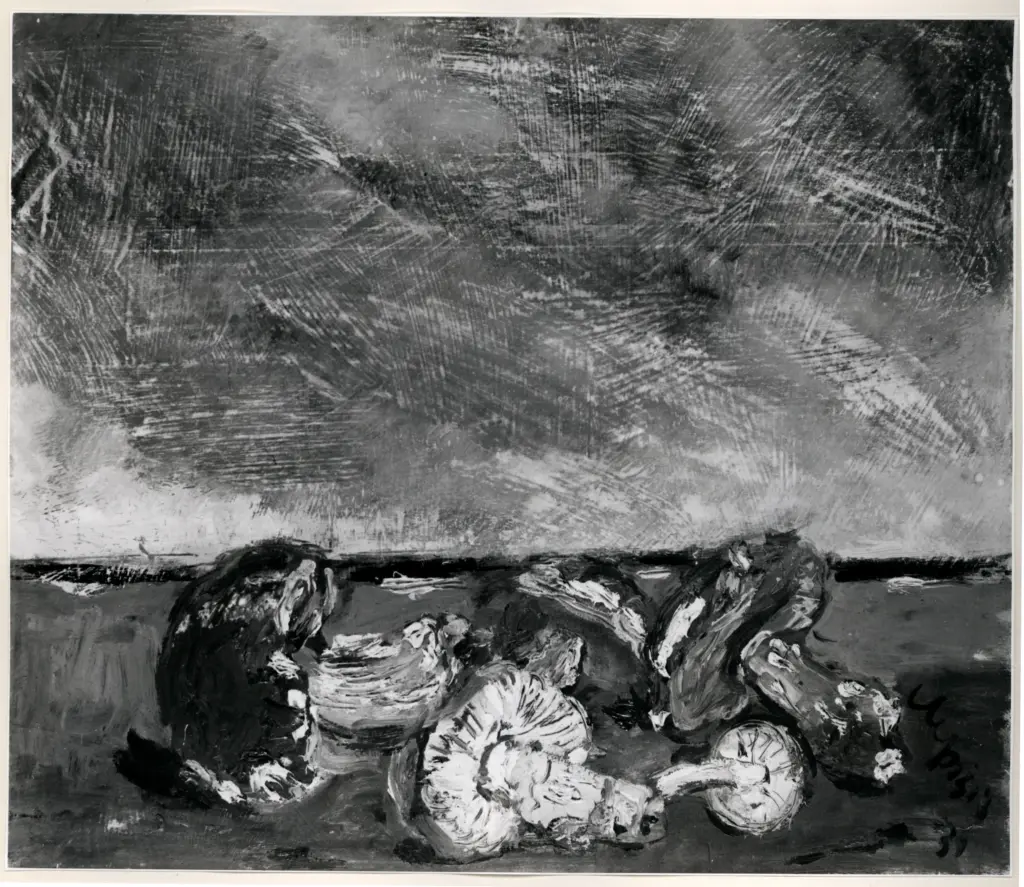 Anonimo, Anonimo , fronte