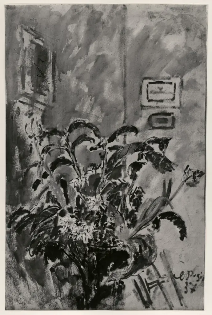Anonimo, Anonimo , fronte