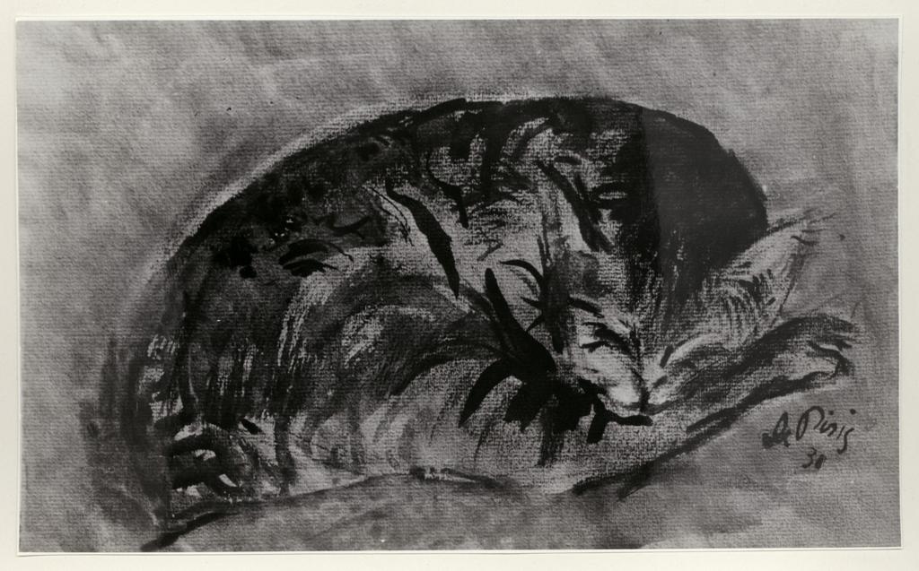 Giacomelli , fronte